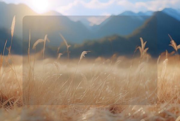 天津生物工程职业技术学院招生计划-各专业招生人数是多少